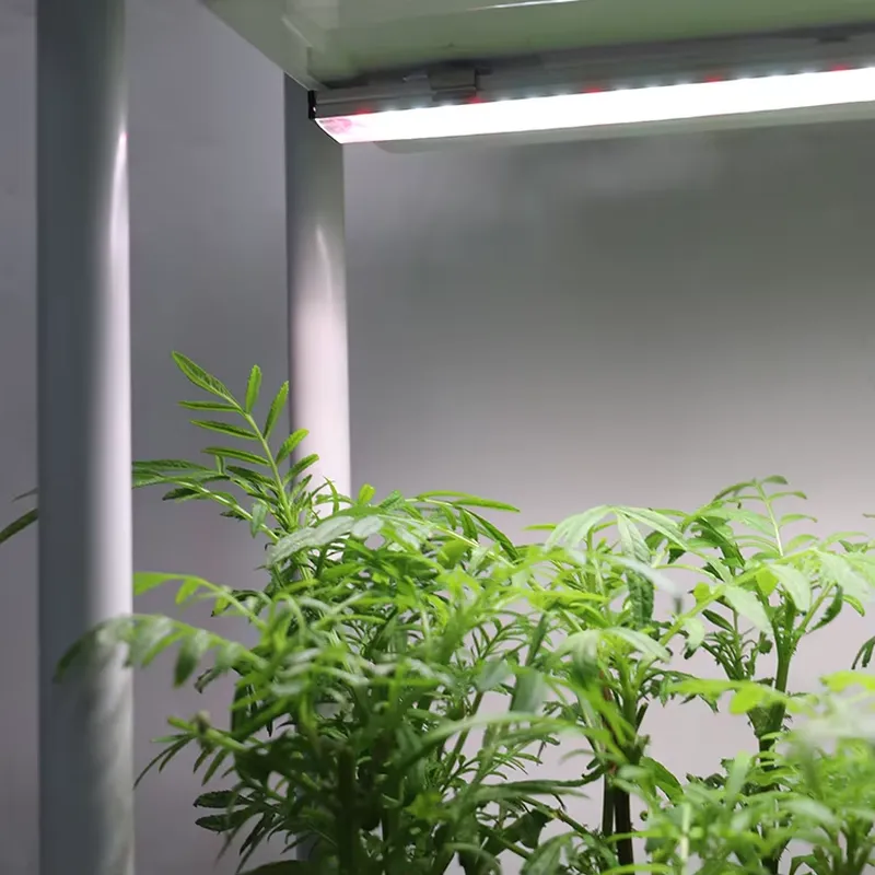 Verplaatsbaar verticaal 3-laag - Self-Watering Planter recensie en prijs