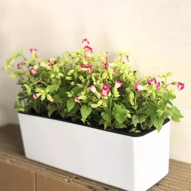 Rechthoekige Luie Bloempot Ing - Automatic Plant Waterer recensie en prijs